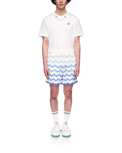 Wavy Gradient Crochet Shorts